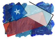Chile 2020 - Bandera 278