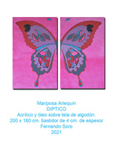 Mariposa Arlequín
