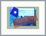 Chile 2020 - Bandera 270
