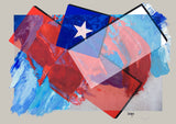 Chile 2020 - Bandera 271