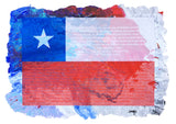 Chile 1882 LA CONCEPCION - Bandera 278