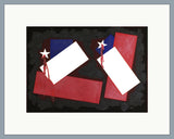 Chile 2020 - Bandera 274