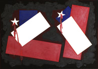 Chile 2020 - Bandera 274